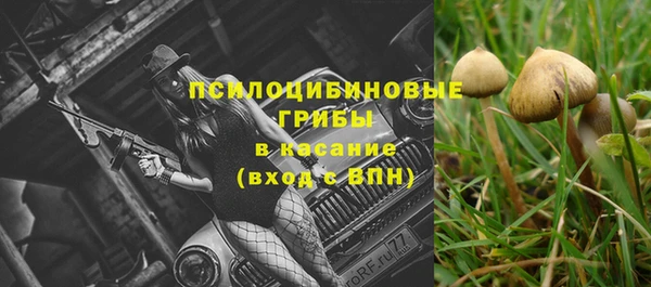 кокс Алзамай