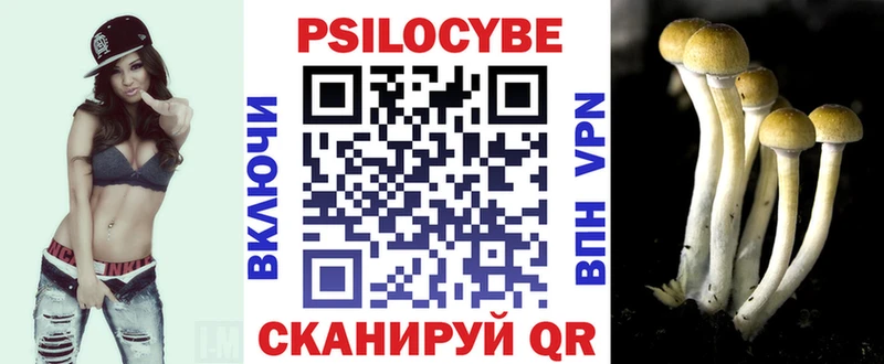 Псилоцибиновые грибы GOLDEN TEACHER  Купить  Талица 