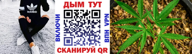 Купить где  Талица  Бошки Шишки тримм 